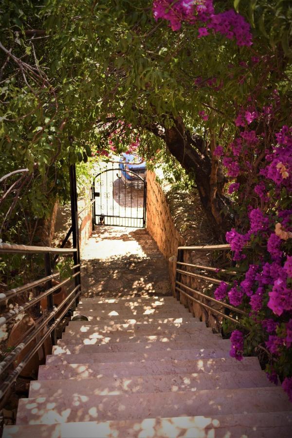 Manzara Apartment كاس المظهر الخارجي الصورة